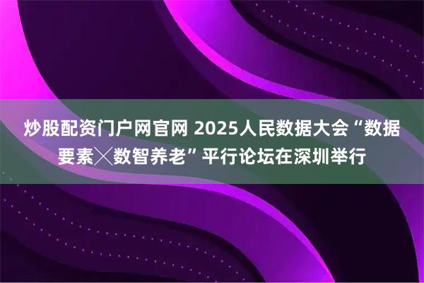 炒股配资门户网官网 2025人民数据大会“数据要素╳数智养老”平行论坛在深圳举行